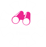 Retro City Hunt